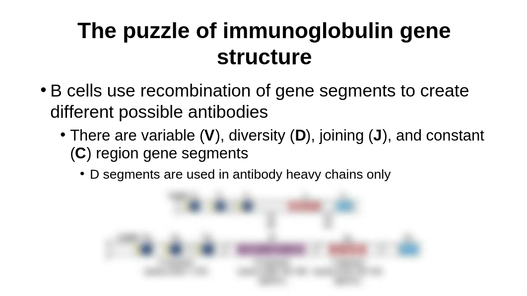 Chapter 6 Kuby lecture slides.pptx_dk7u7mogfdp_page5