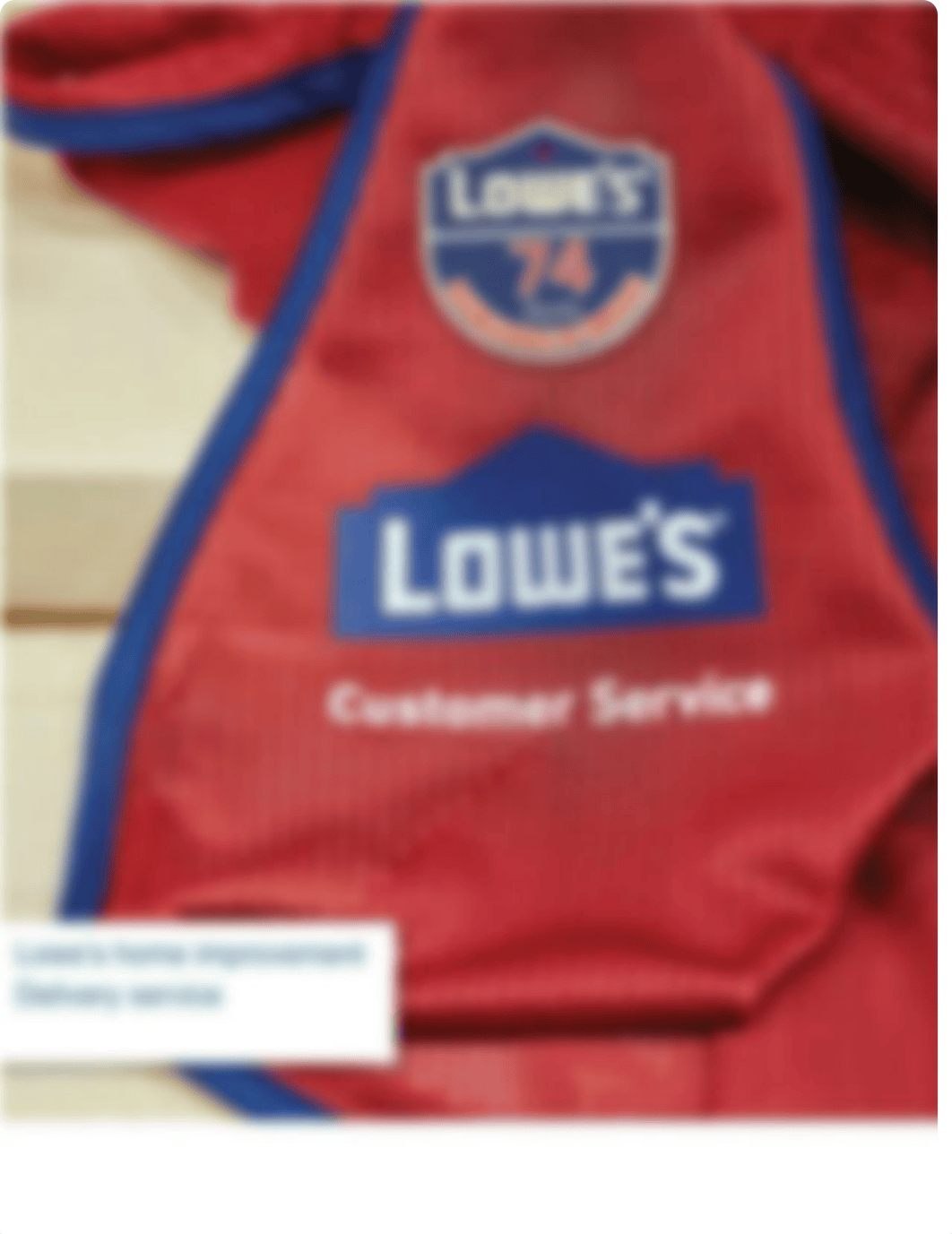 Company_Profile_Lowes_dk800x16473_page1