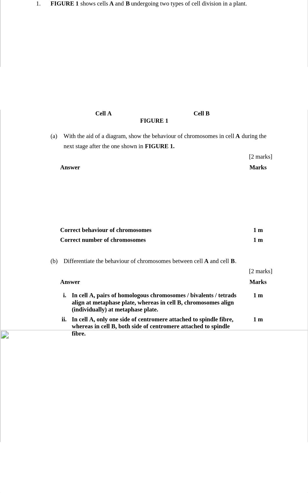 KMPP_SDS Answer_Biofortune.pdf_dk84zb88ejg_page2