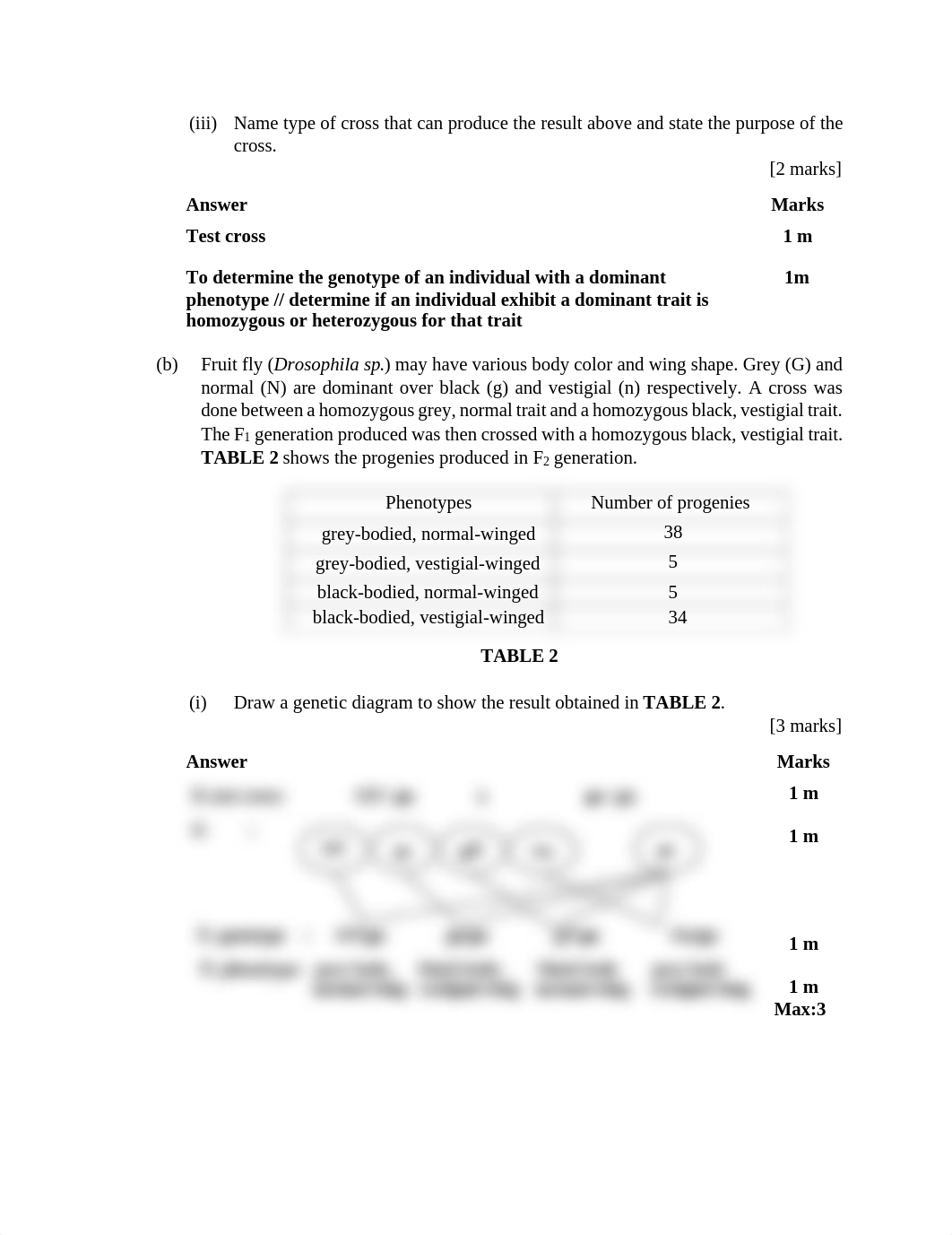 KMPP_SDS Answer_Biofortune.pdf_dk84zb88ejg_page4