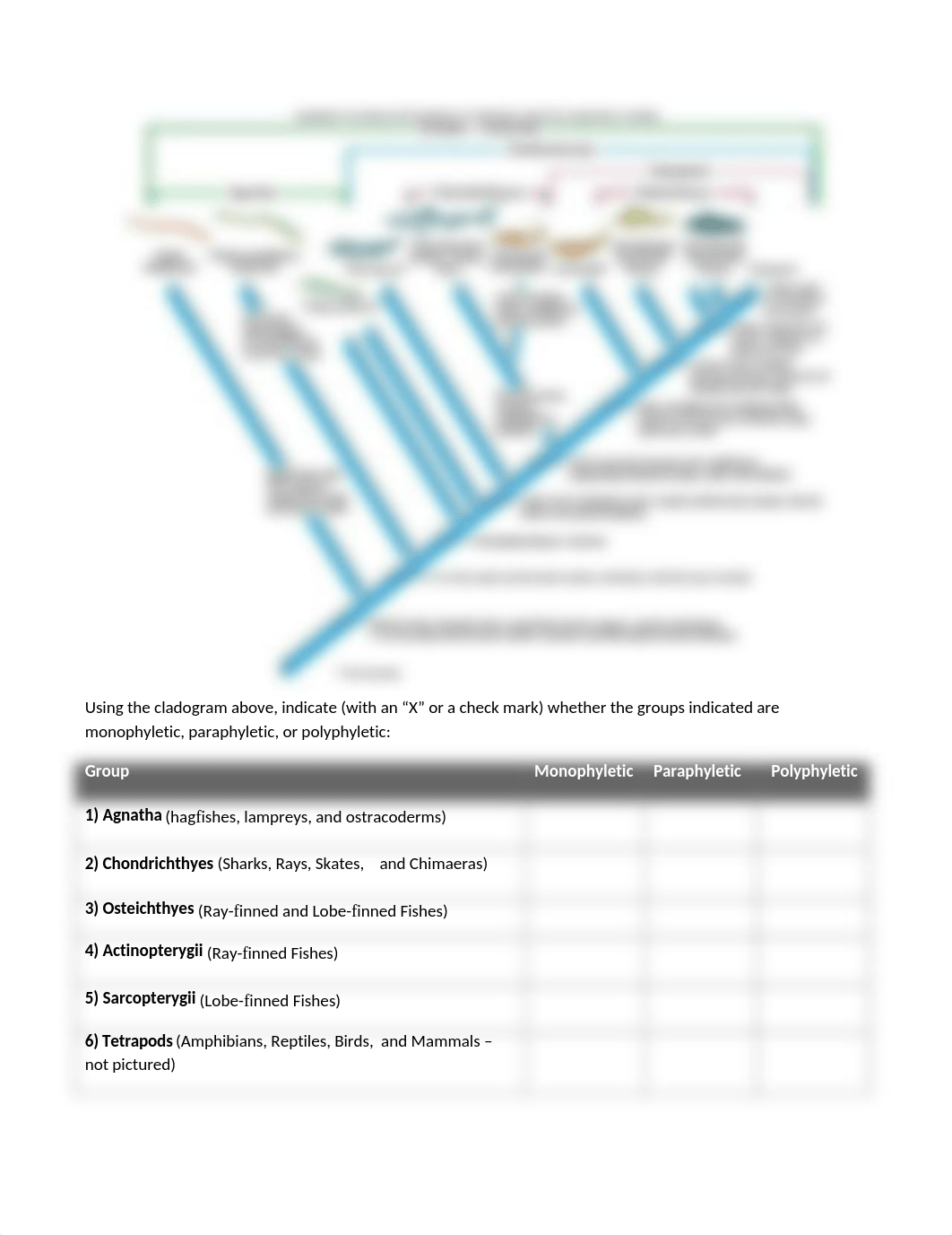 Cladogram activities.docx_dk882g0yu4f_page1