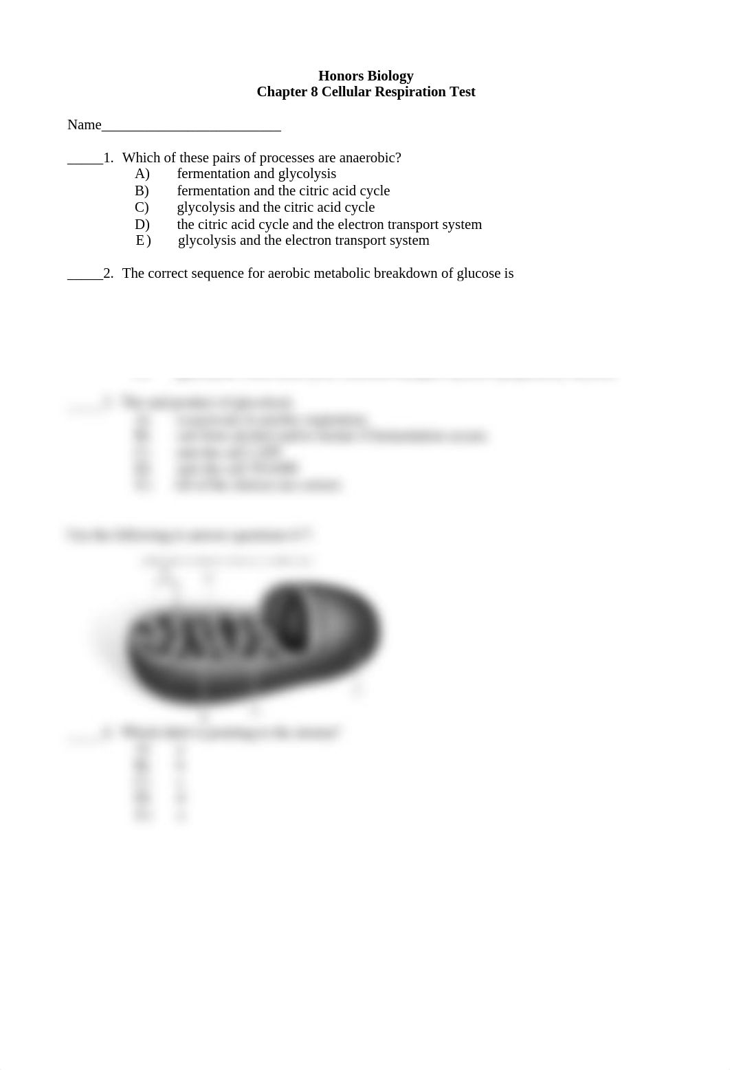 Honors Biology Ch. 8 Test.doc_dk8b55xuolw_page1