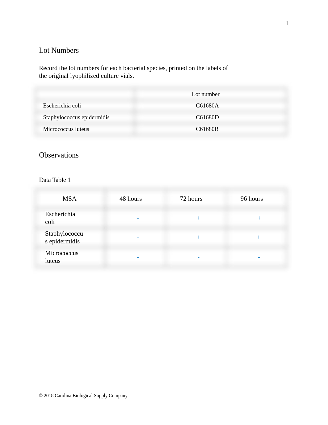 Selective Media LAB REPORT.docx_dk8jgvjiyfv_page2