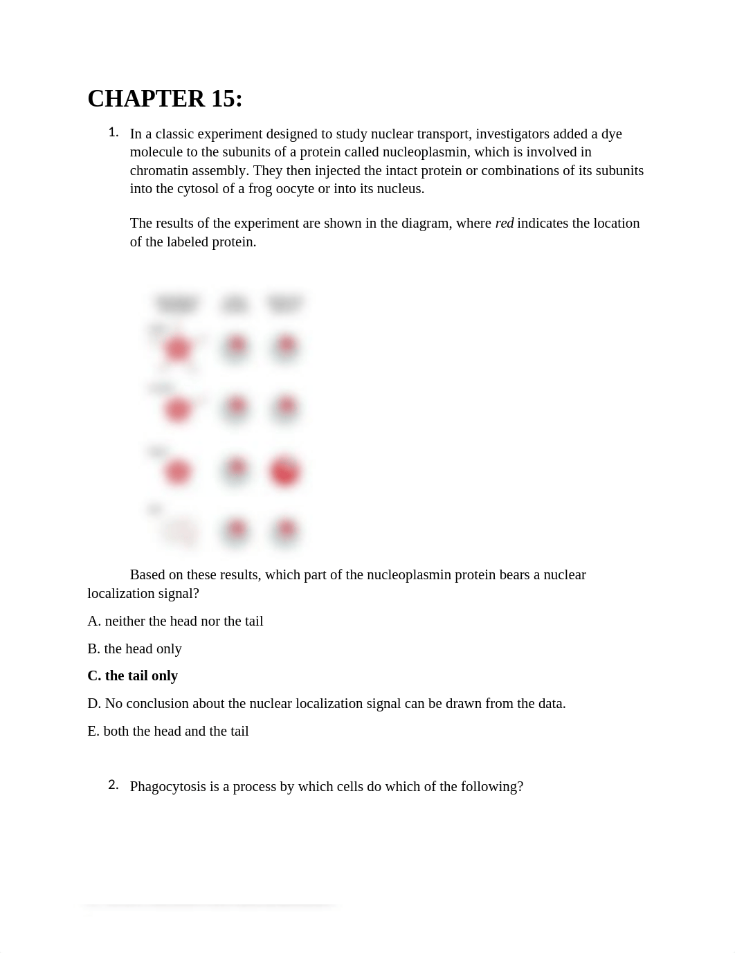 UMKC BIo 202 EBook homework Chapter 15-17.docx_dk8jy99pm7o_page1