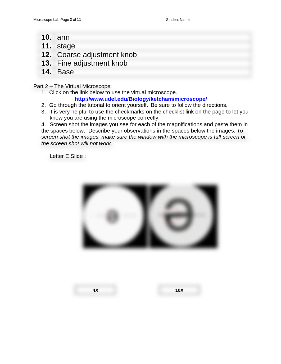 Lab Report_Microscope_lab.docx_dk8l78ojf0f_page2