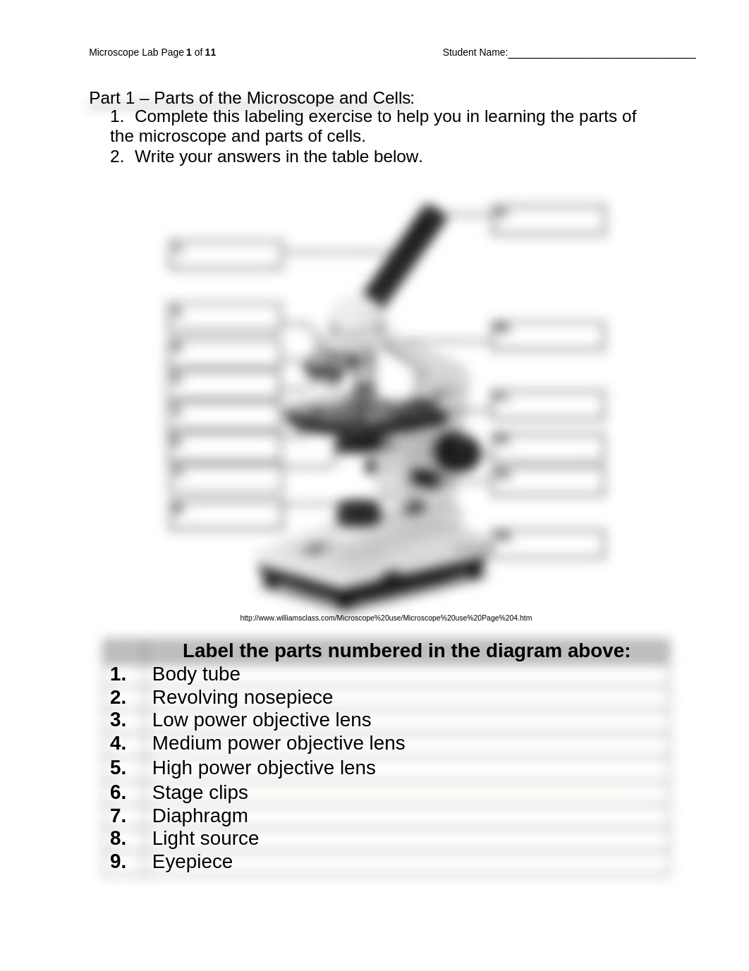 Lab Report_Microscope_lab.docx_dk8l78ojf0f_page1