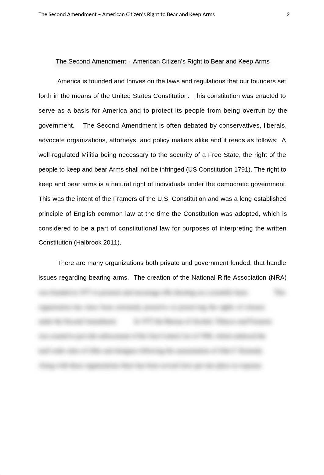 2nd ammendment essay_dk8upfcp8yi_page2