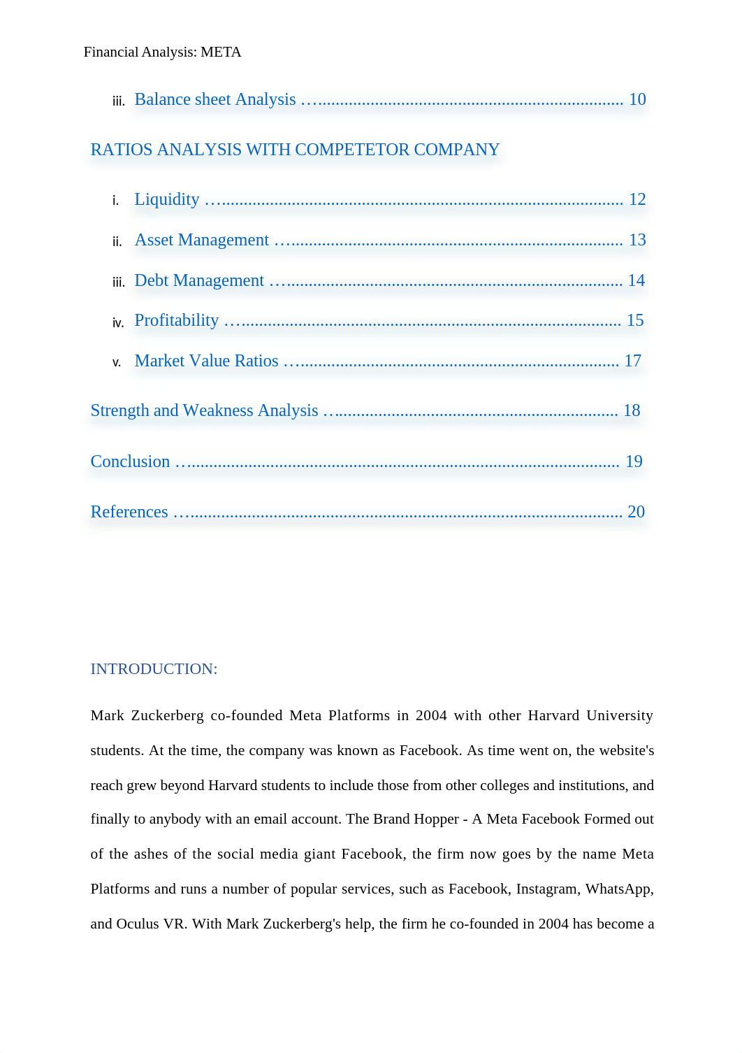 Financial Analysis-Meta.docx_dk8vx7dd5yz_page2