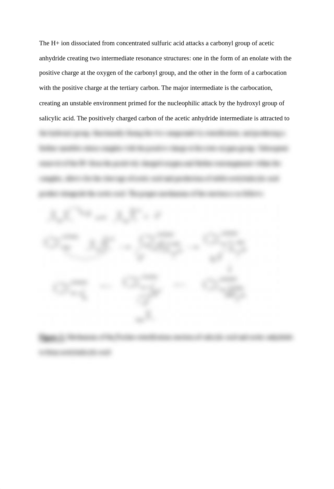 Aspirin lab report.pdf_dk8zv6j8aiq_page2