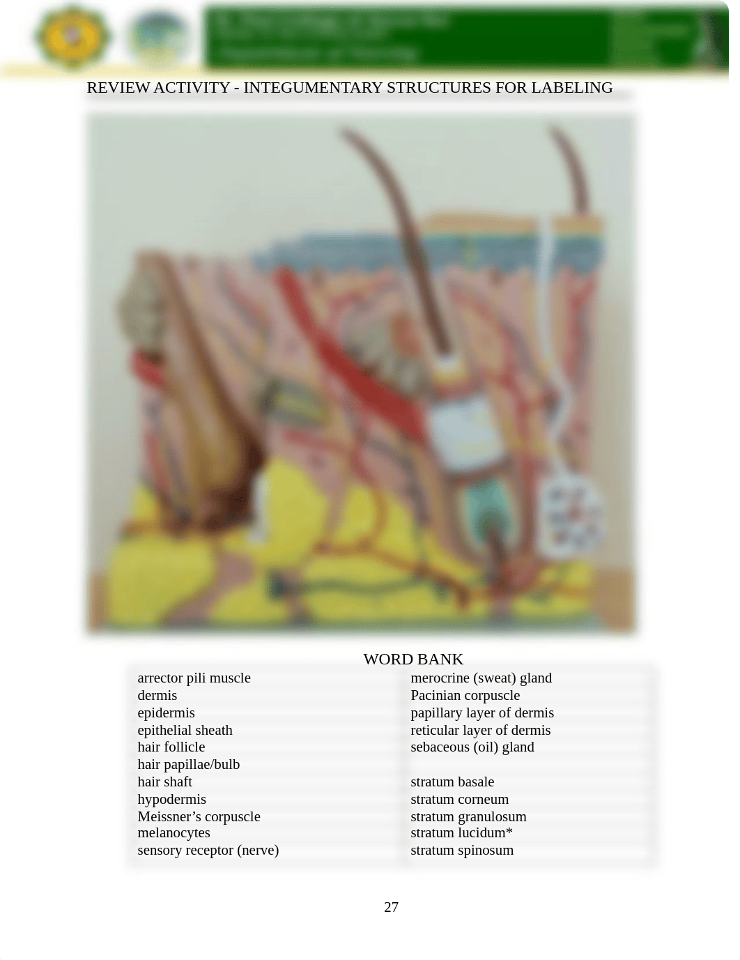 Integumentary Laboratory Sheet 2.pdf_dk9f32r27ou_page1