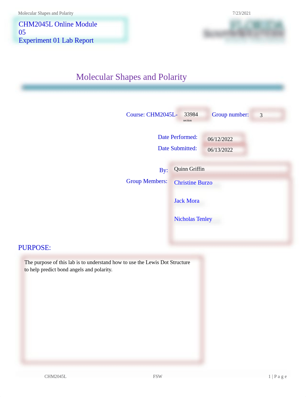 2045L Lab Report for Shapes.docx_dk9fmy5d271_page1