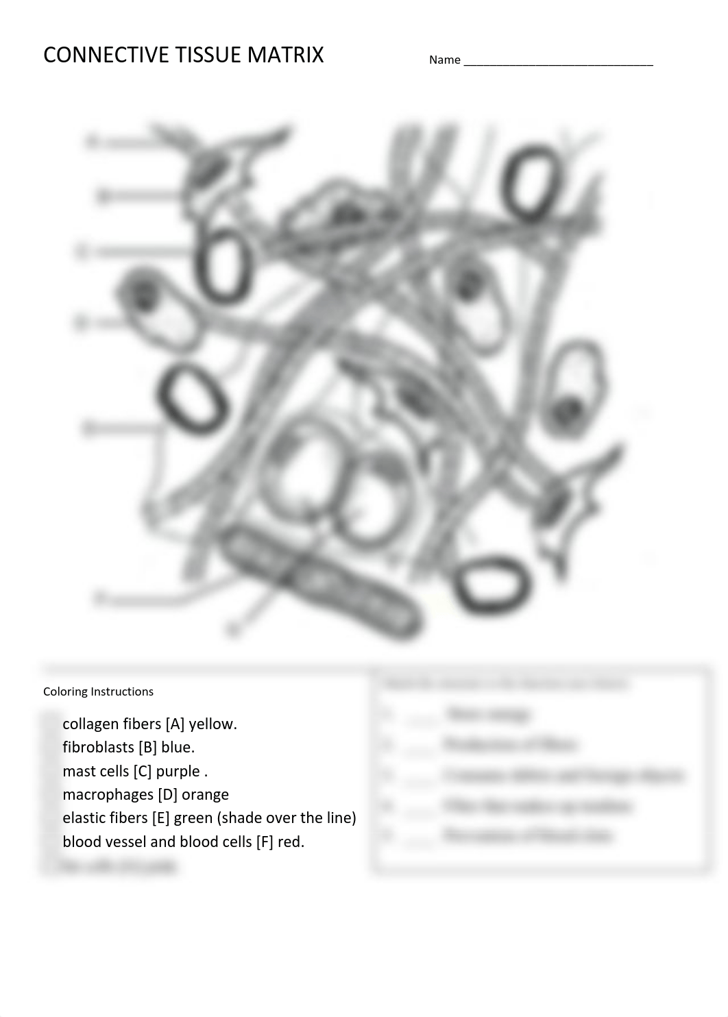 Connective Tissue Matrix.pdf_dk9qqtnxjsp_page1