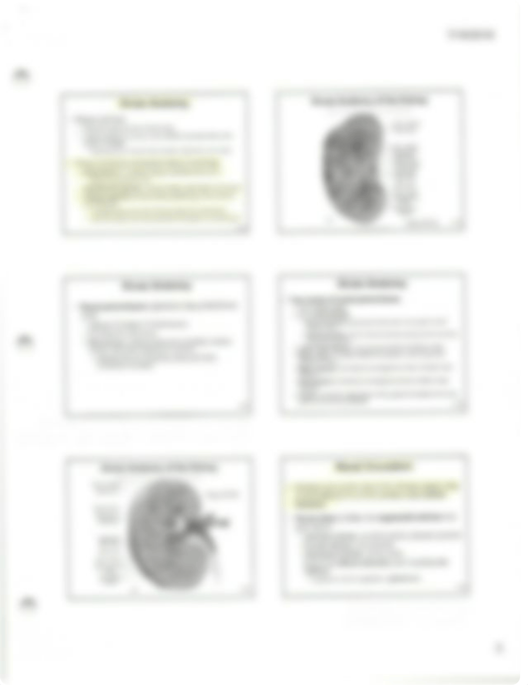 Chapter 23 The Urinary System.pdf_dk9s82d56fb_page3