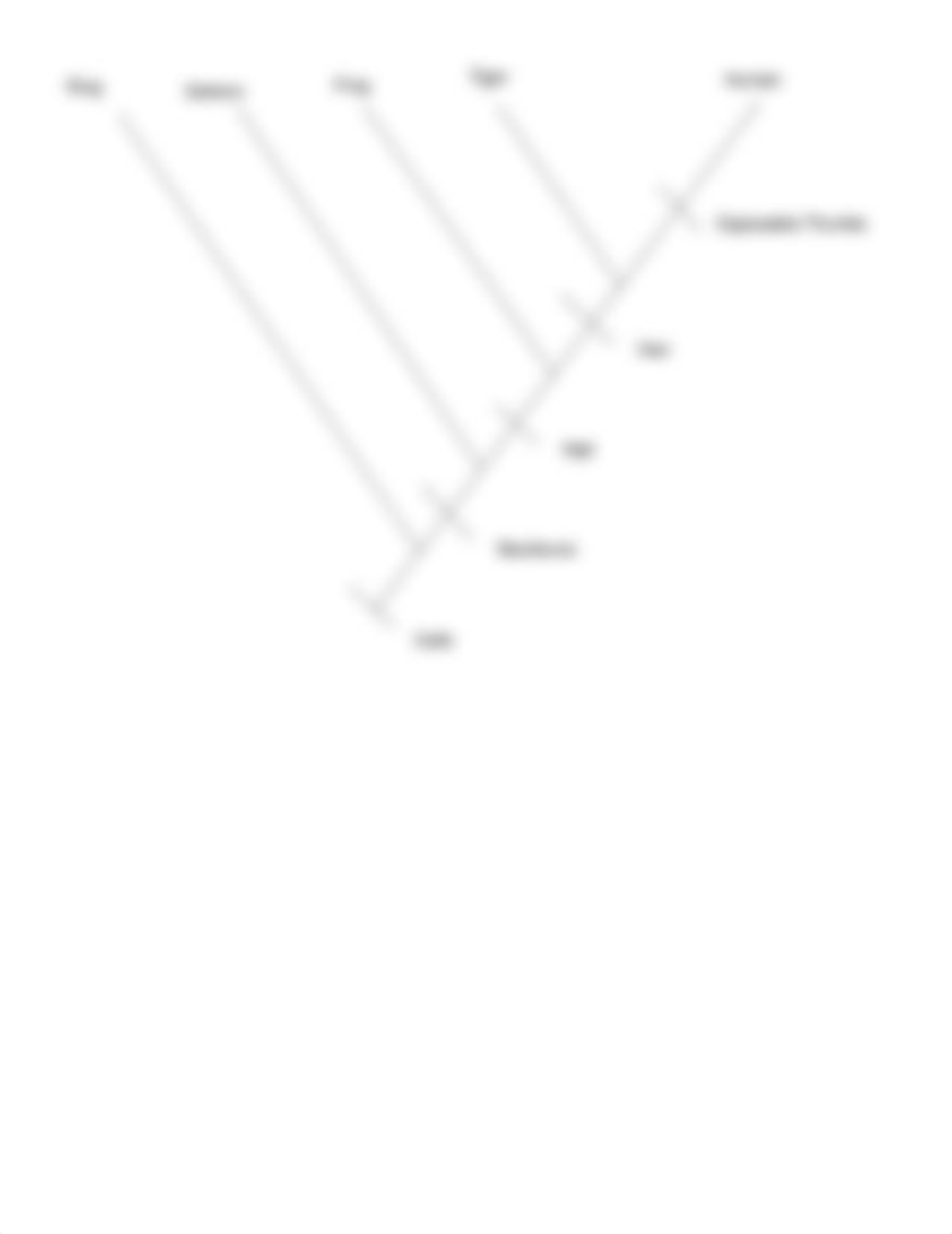 Copy of Cladogram Practice .pdf_dka0ck1uqdx_page3