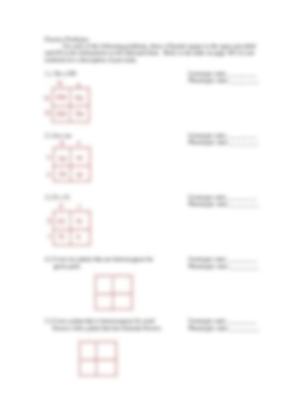 Kami Export - Eesha Mahendran - Punnett Square Packet.pdf_dka5jhzkhza_page3