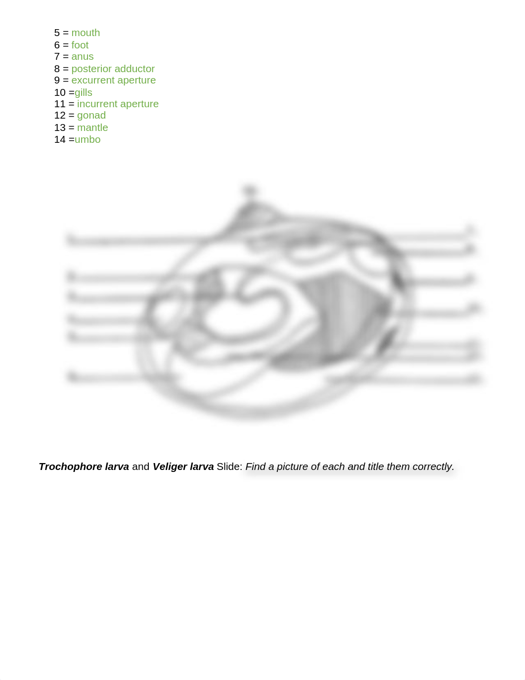 Lab 13 Worksheet-221.pdf_dka6hzt6ex7_page3