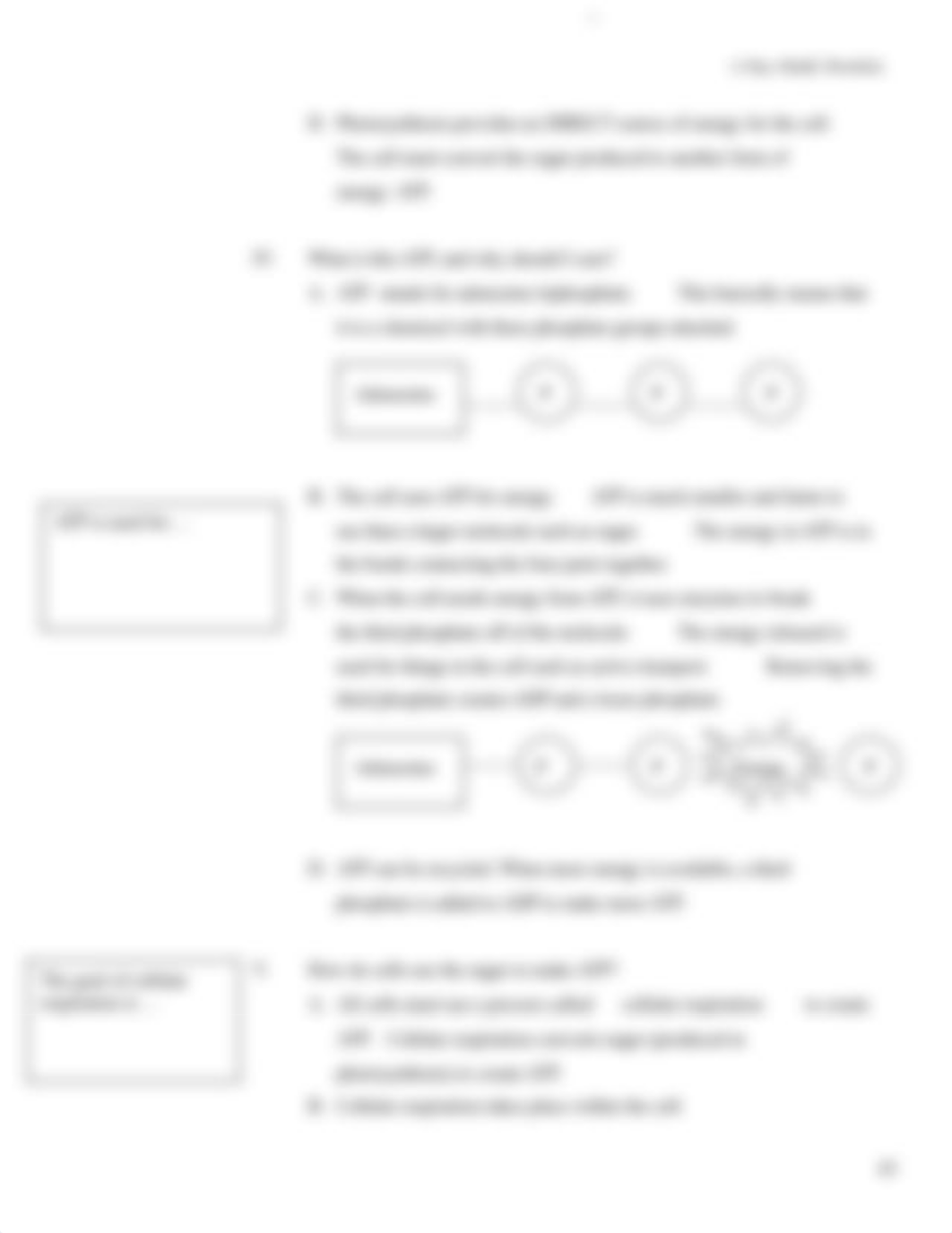 photo_ cell respiration reading notes.pdf_dkaddw5qk0w_page3