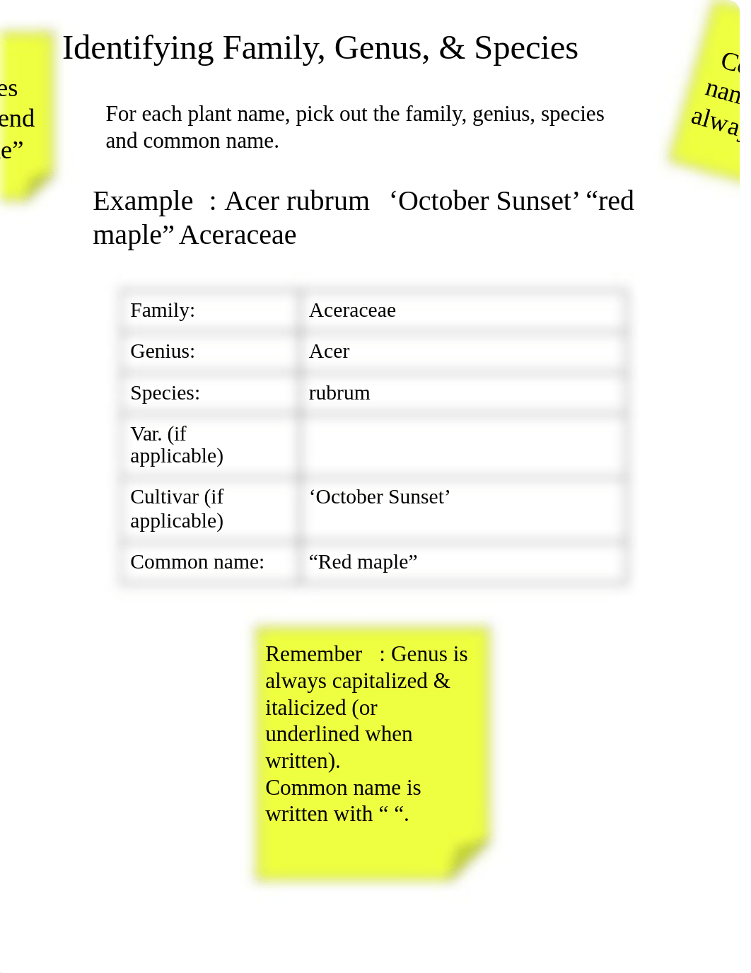 Copy_of_Plant_Taxonomy_WS_dkan0tyi8f8_page2