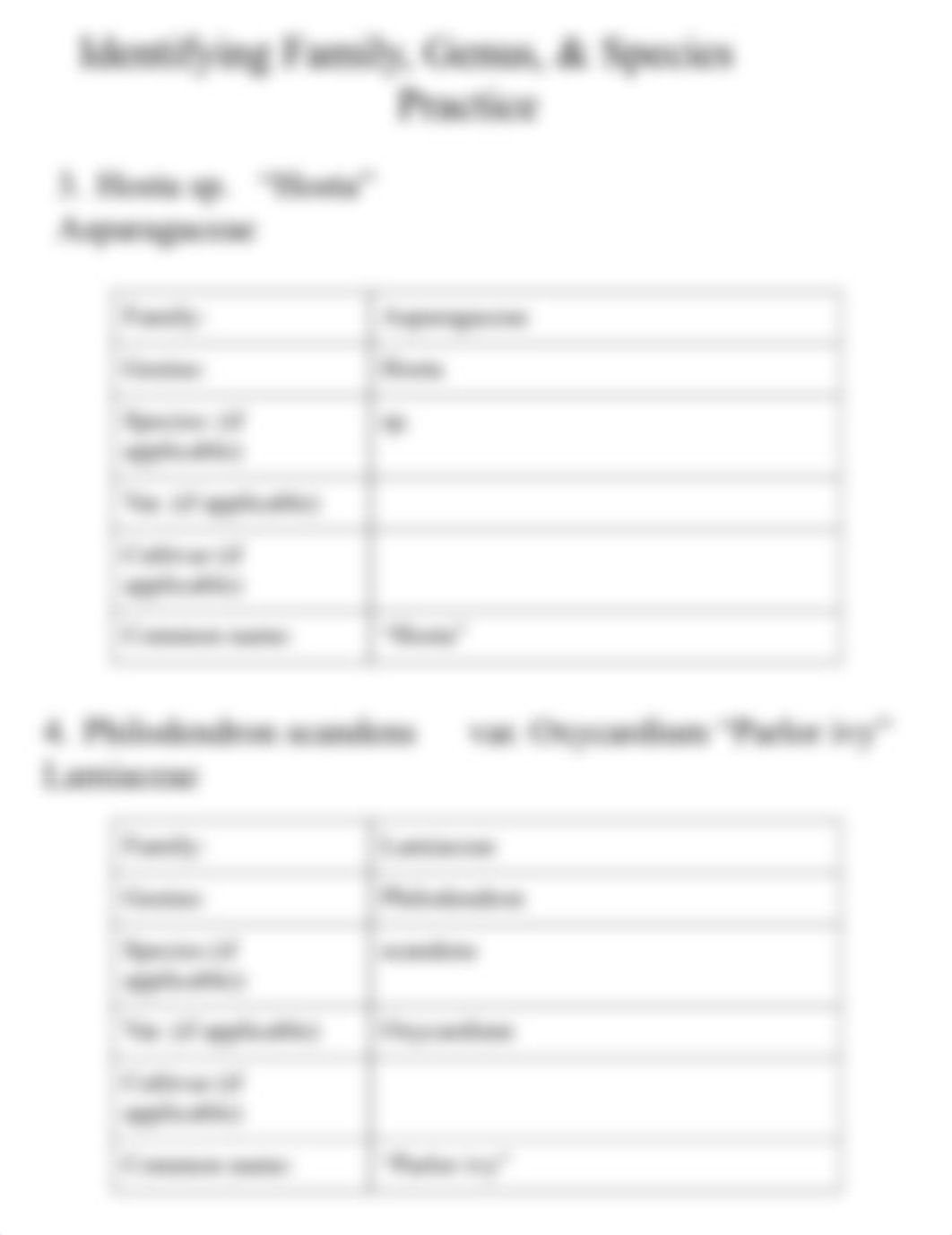 Copy_of_Plant_Taxonomy_WS_dkan0tyi8f8_page4