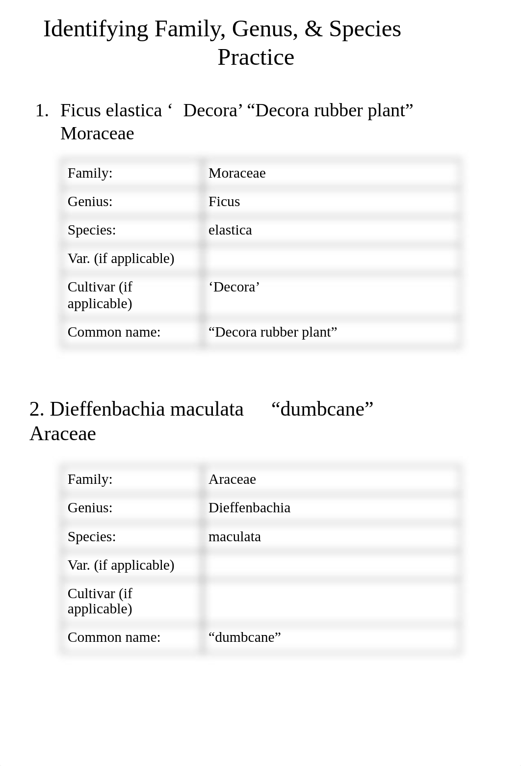 Copy_of_Plant_Taxonomy_WS_dkan0tyi8f8_page3