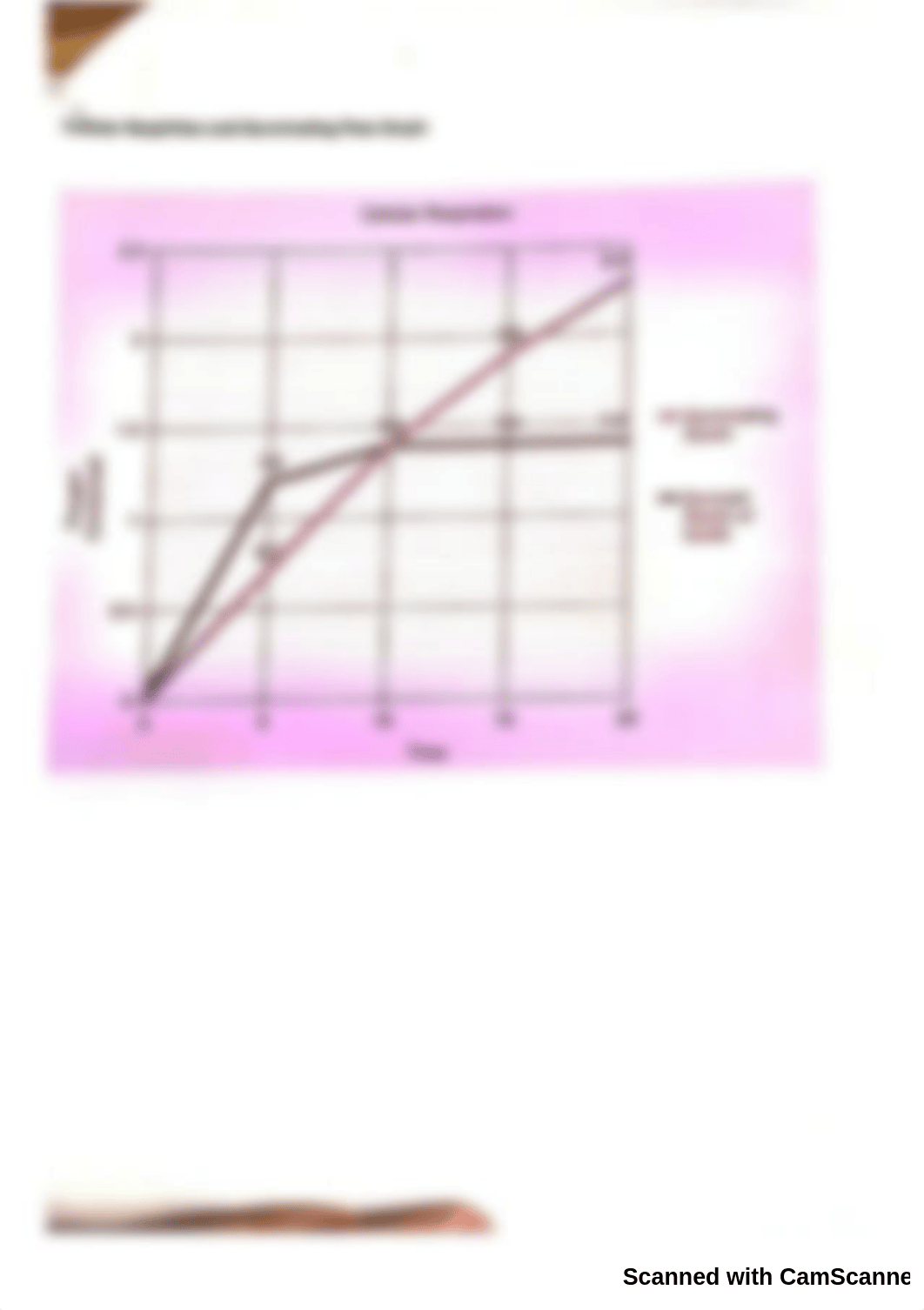 Cellular respiration and germinating peas lab.pdf_dkay42jcnvd_page5