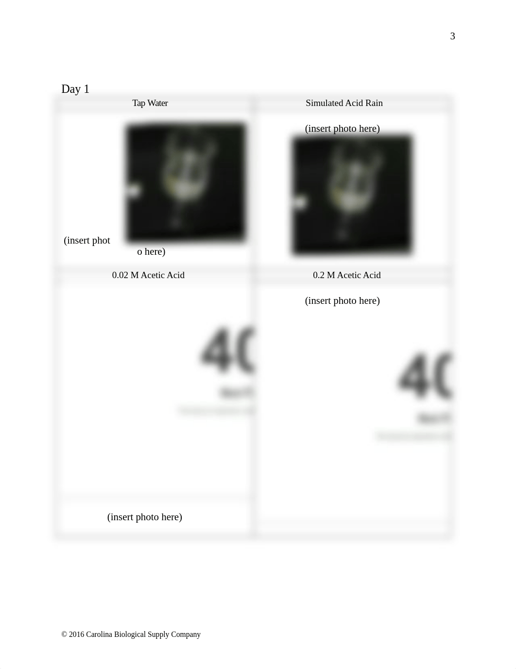 lab 7.docx_dkb0043fcsx_page4