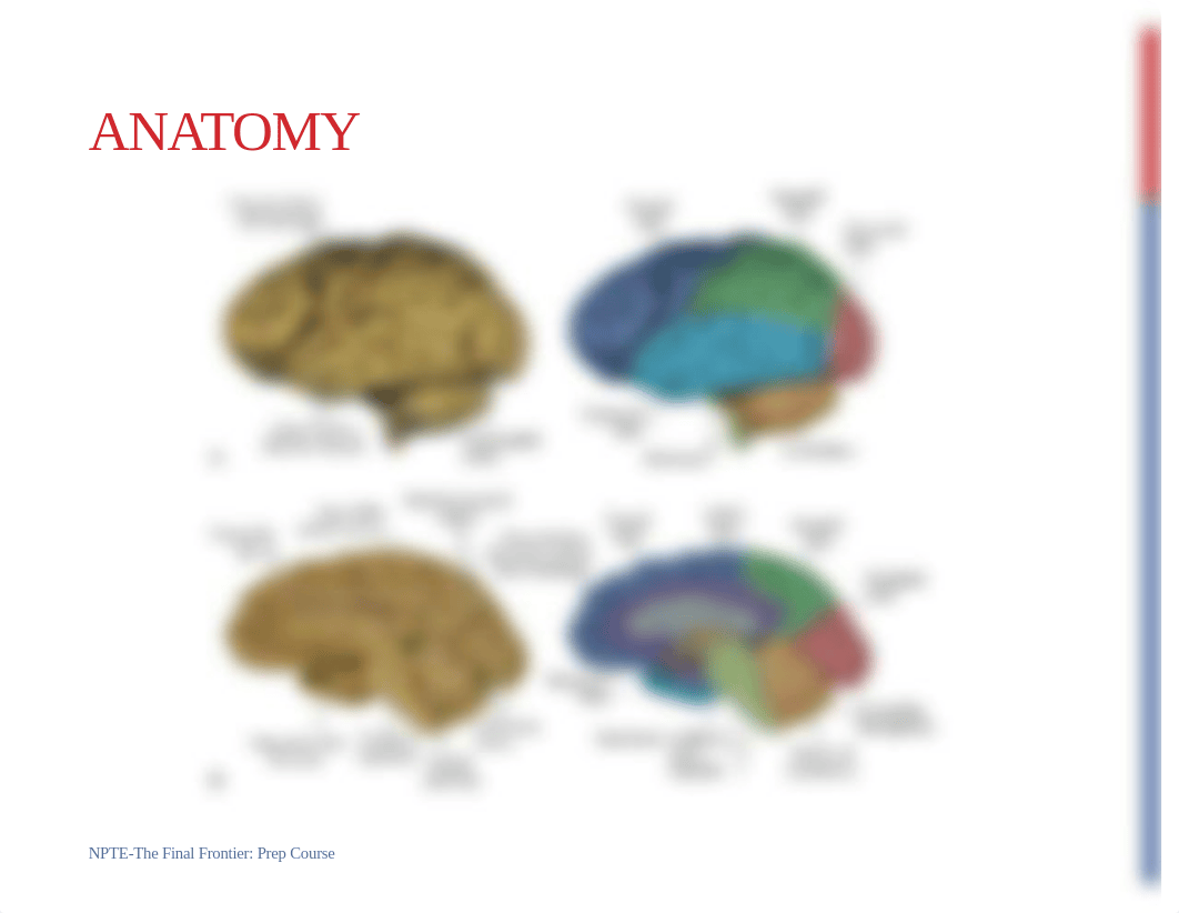 04. Neuro Examination NPTE Final Frontier July 2022.pdf_dkb26h2ssza_page4