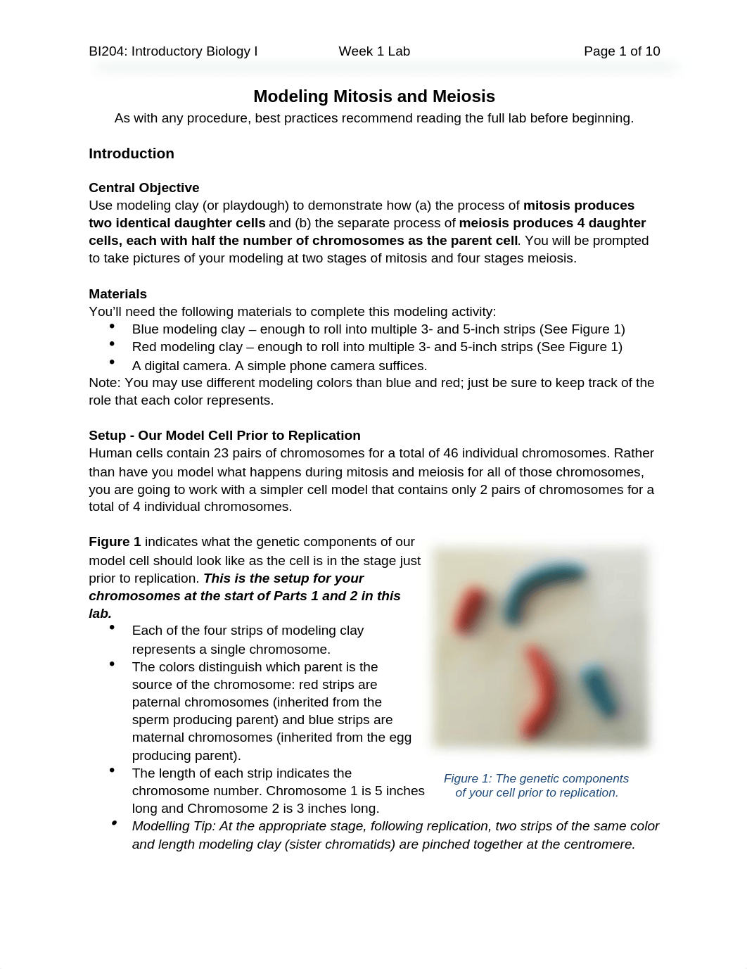 BI204_Week1_Lab_MitosisMeiosis-1 (1).docx_dkb3b489vdz_page1