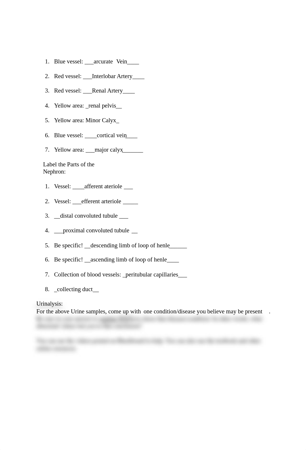 Urinary_Urinalysis lab assignment .docx_dkbd3h82imq_page2