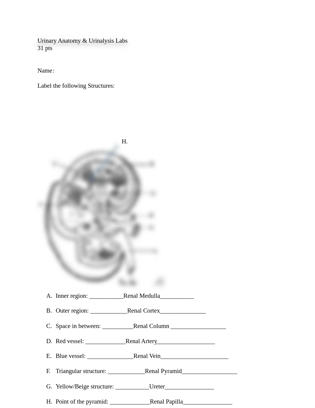 Urinary_Urinalysis lab assignment .docx_dkbd3h82imq_page1