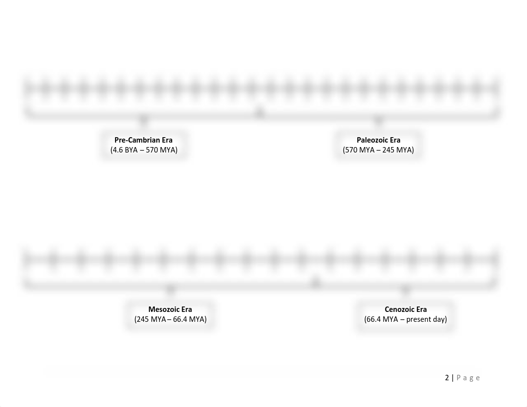 LAB 01_Evidence of Evolution.pdf_dkbdghuv57i_page2