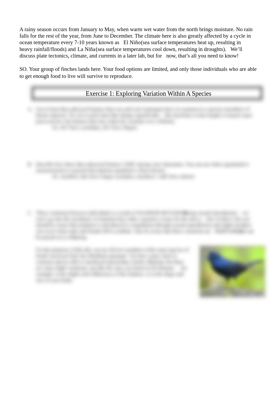 LAB_Darwin's Finches.pdf_dkbj3yb1umz_page2