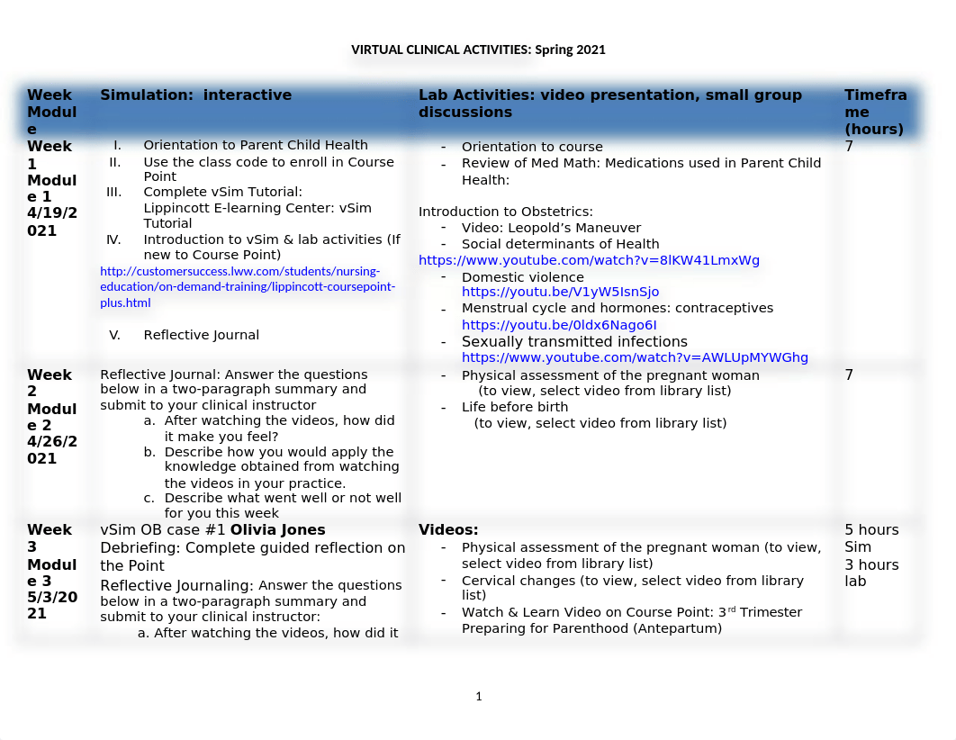 NUR 223 Spring 2021 Virtual Clinical Syllabus.docx_dkbjqep3jzh_page1