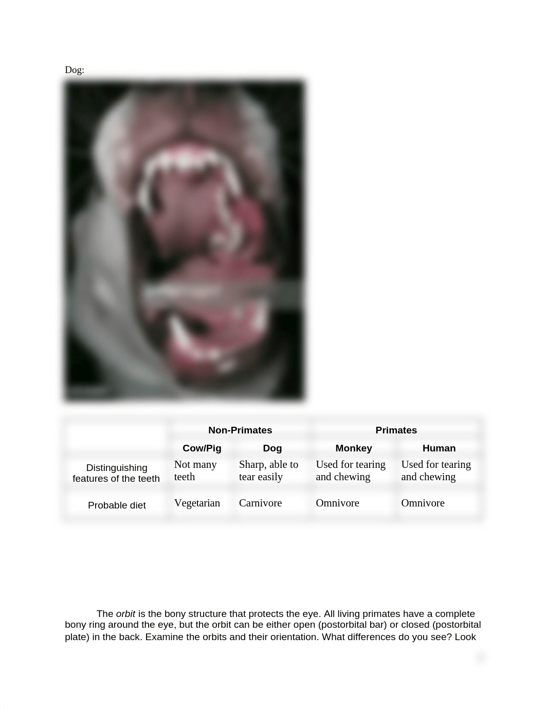 Lab 5 Exercise.docx_dkbshsp2wmt_page3