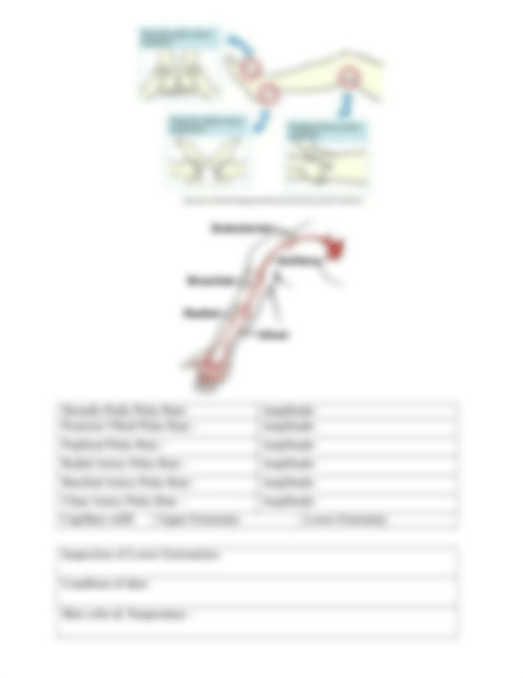 Peripheral Vascular screening tool.docx_dkc2fb2mcdz_page5