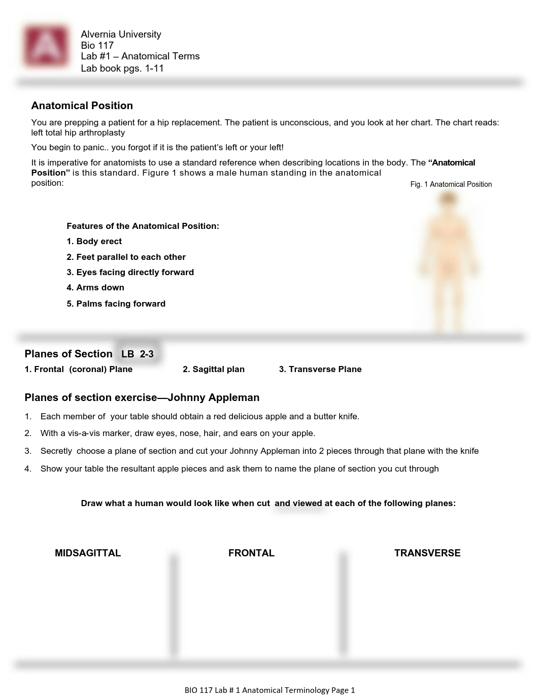 Lab 1 Anatomical Terms.pdf_dkcinm8ul1r_page1