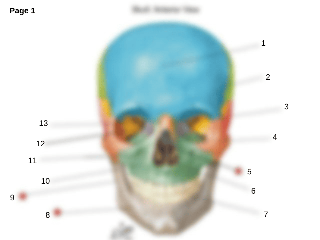 Presentation Skeleton Students to label.ppt_dkclsuuf4ze_page1