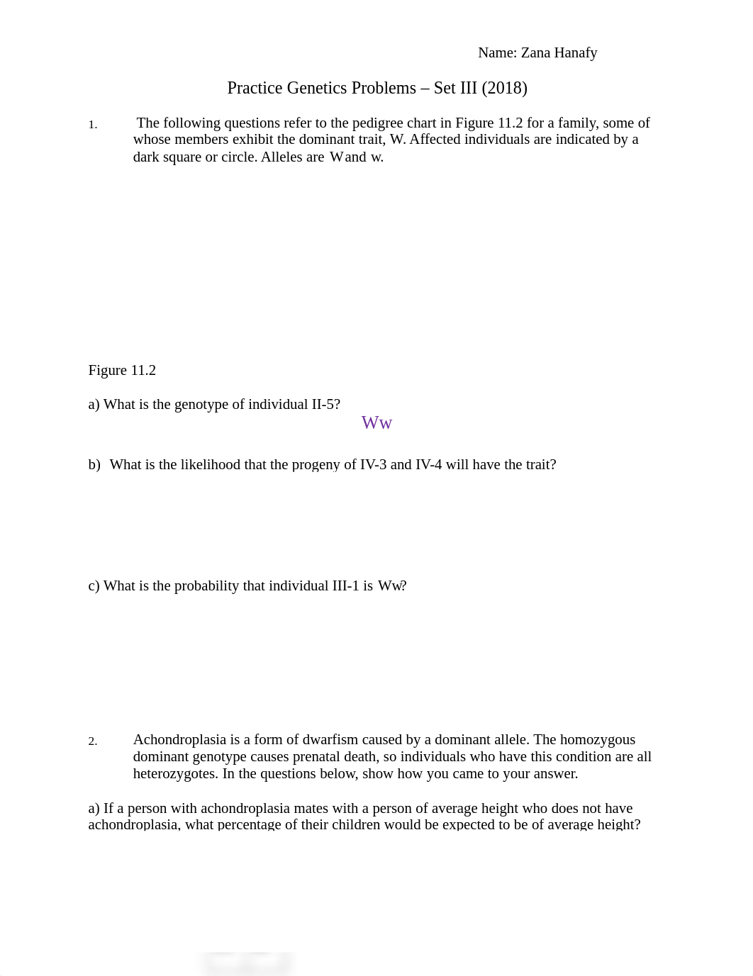 3 Genetics Practice Problems-F18-Set 3z.pdf_dkcmwtkxte2_page1