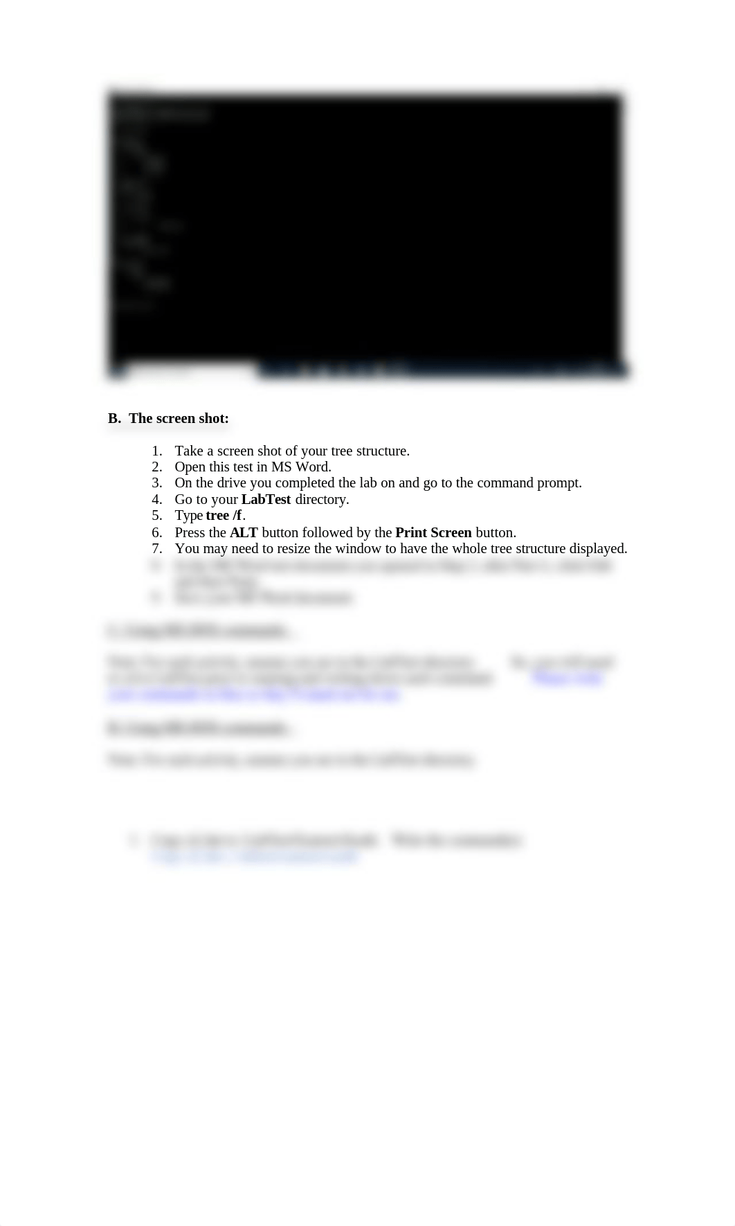 Lab Test MS Windows CLI (DOS).doc_dkco6ospga9_page2