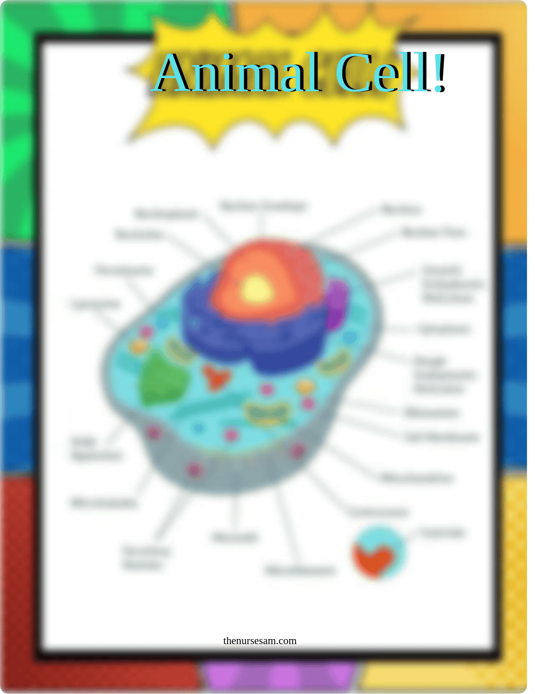 Nurse Sam Biology Study Kit.pdf_dkd5kv9vvqh_page5