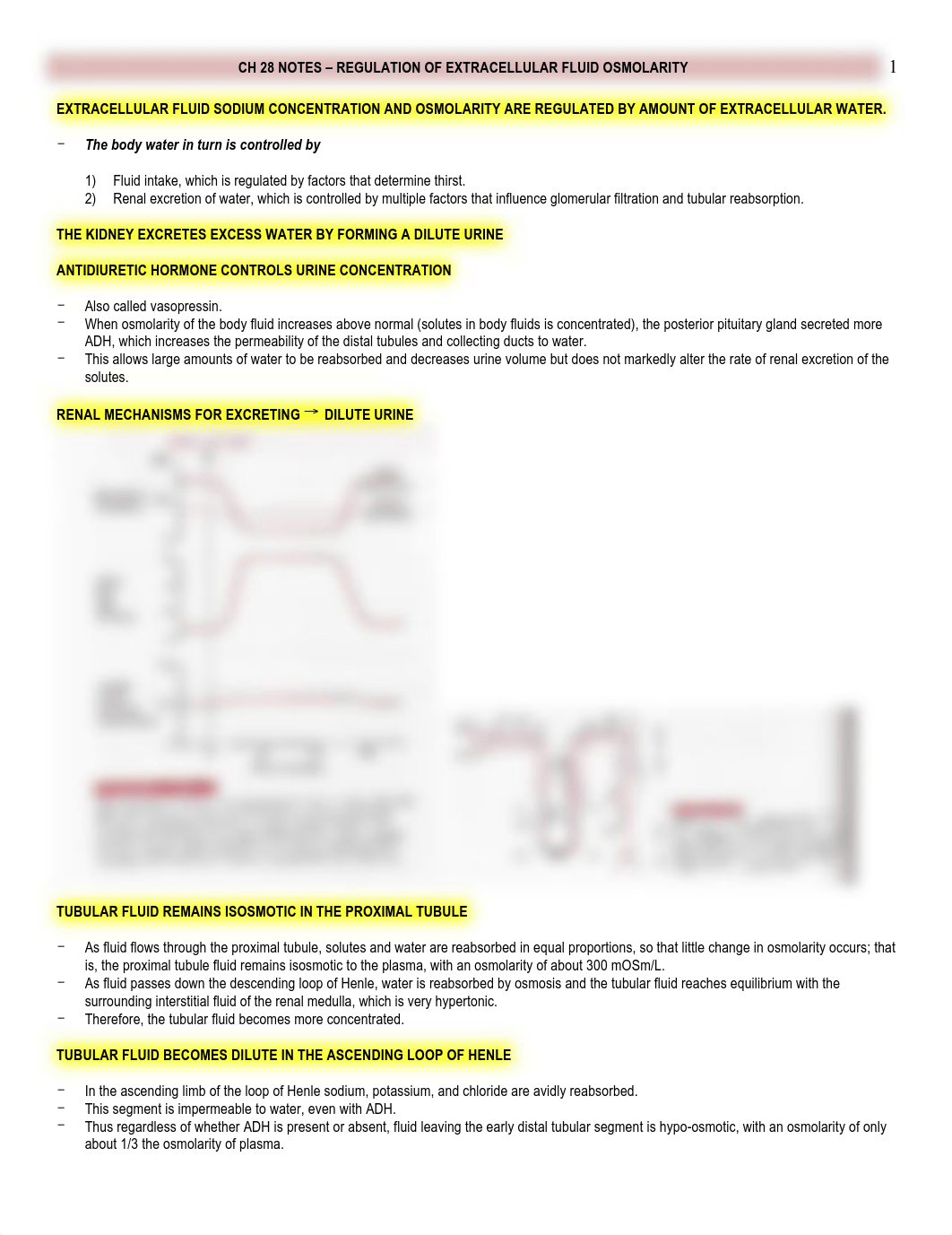 Physio - 28 - Regulation of Extracellular Fluid Osmolarity - BL_dkd7h6xgah6_page1