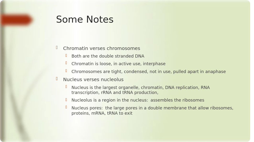 Lab 4 Cell anatomy and division.pptx_dkdaffwhufh_page3