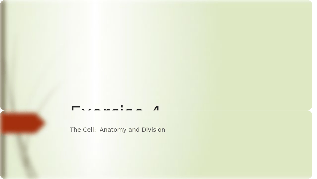 Lab 4 Cell anatomy and division.pptx_dkdaffwhufh_page1