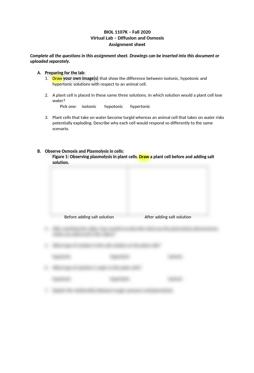 Virtual Diffusion and Osmosis Lab Assignment Sheet.docx_dkdlmyumels_page1