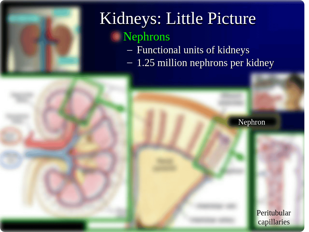 01_Renal-ICARE-post (1)_dkdo2puhei2_page5