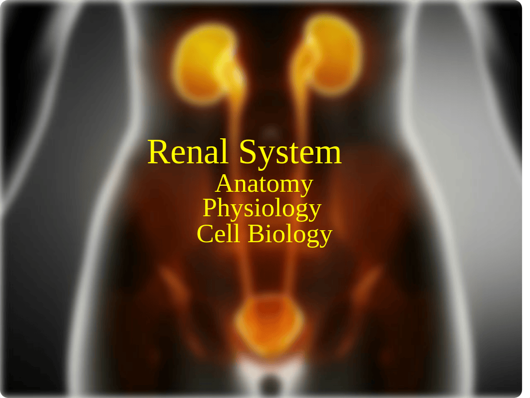 01_Renal-ICARE-post (1)_dkdo2puhei2_page1