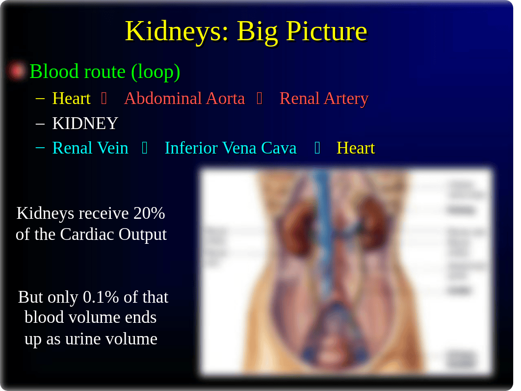 01_Renal-ICARE-post (1)_dkdo2puhei2_page4