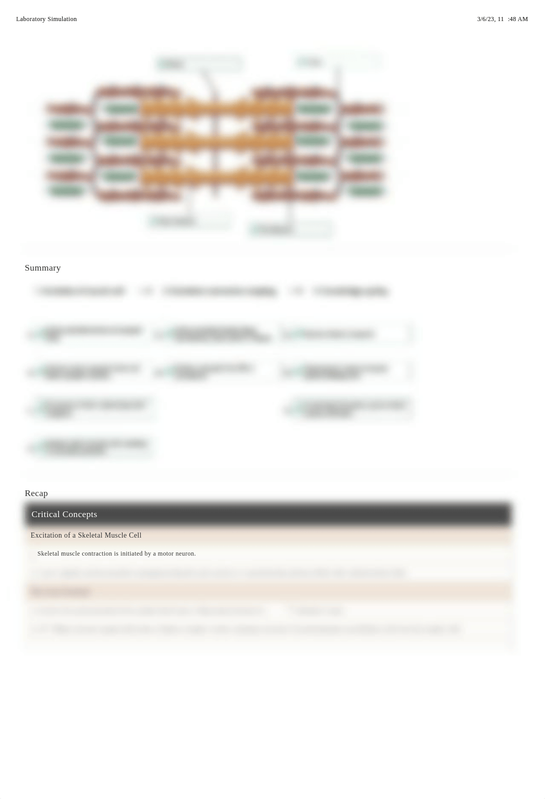 muscle system notes.pdf_dkdpvp20syg_page2