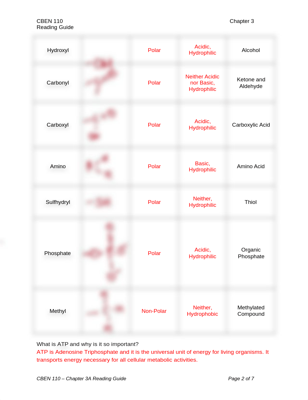 3A Reading guide.docx_dkdtlglvj42_page2