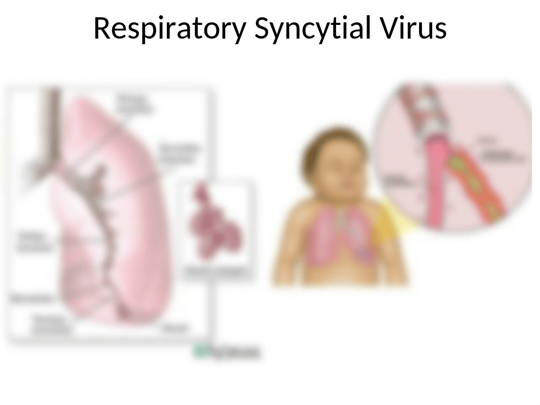 Oxygenation_and_Perfusion_-_Student_Copy_-_email__it.pptx_dkdv2vtr1fk_page4